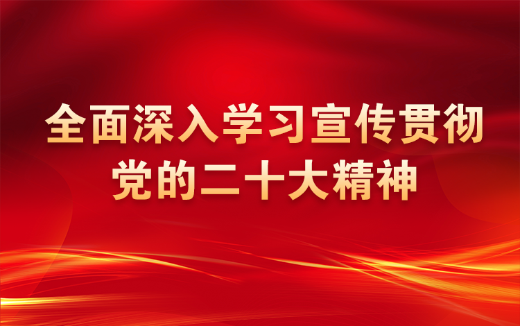 全面深入学习宣传贯彻党的二十大精神