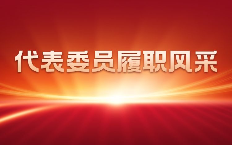 代表委员履职风采