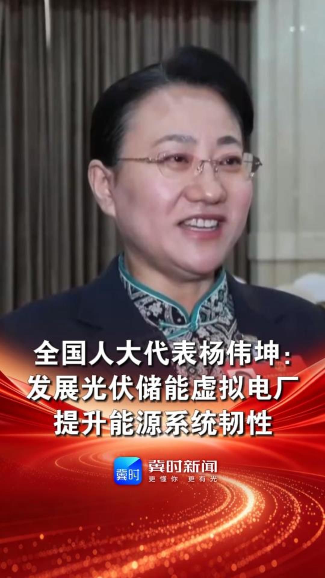 全国人大代表杨伟坤：发展光伏储能虚拟电厂  提升能源系统韧性#2026全国两会