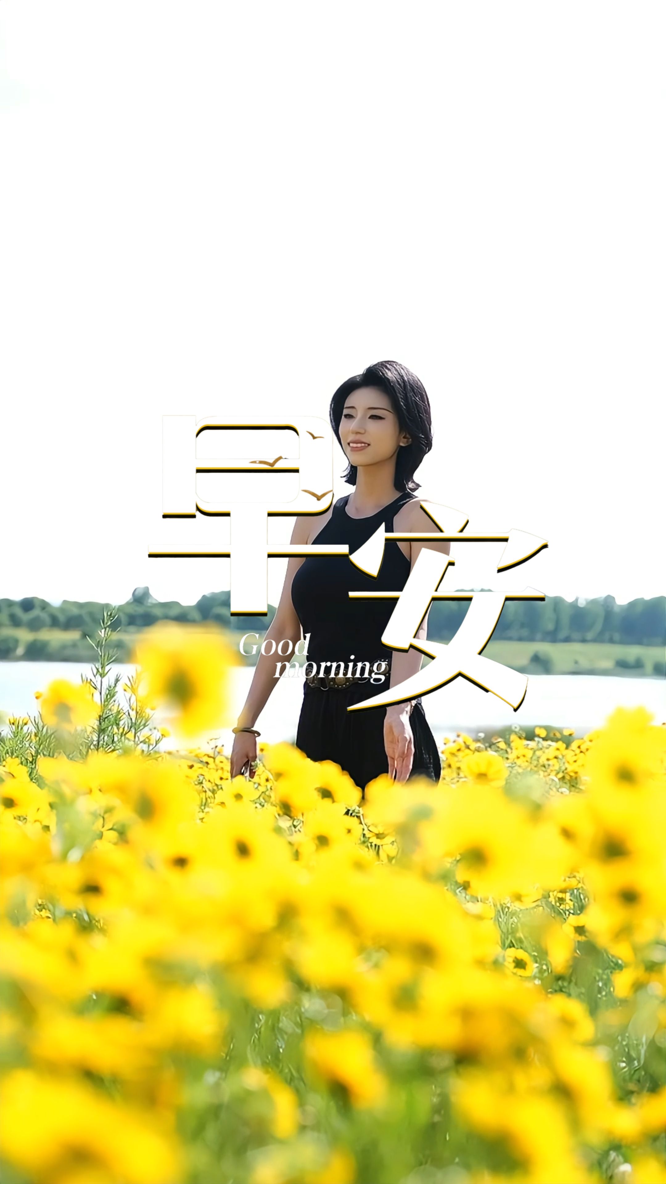 2026年6月3日，早安！草木繁盛，蝉鸣初起，日子在日渐悠长的白昼里缓缓舒展。这个夏天，让我们放下浮躁，迎着暖阳，把平凡日常过成夏日独有的温柔光景！