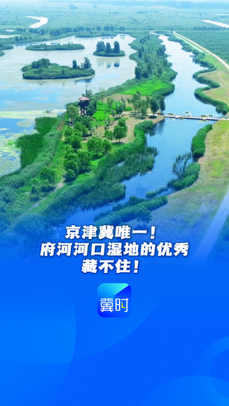 看见雄安丨京津冀唯一！府河河口湿地的优秀藏不住！