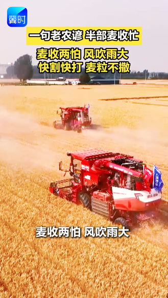 一句老农谚 半部麦收忙|②麦收两怕 风吹雨大 快割快打 麦粒不撒