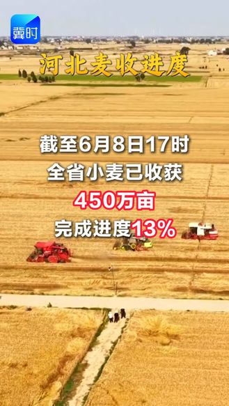 河北麦收进度