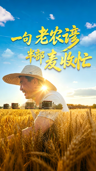一句老农谚 半部麦收忙|④麦收有五忙 割挑打晒藏