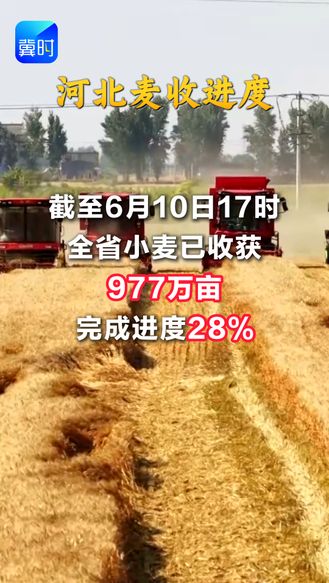 河北麦收进度