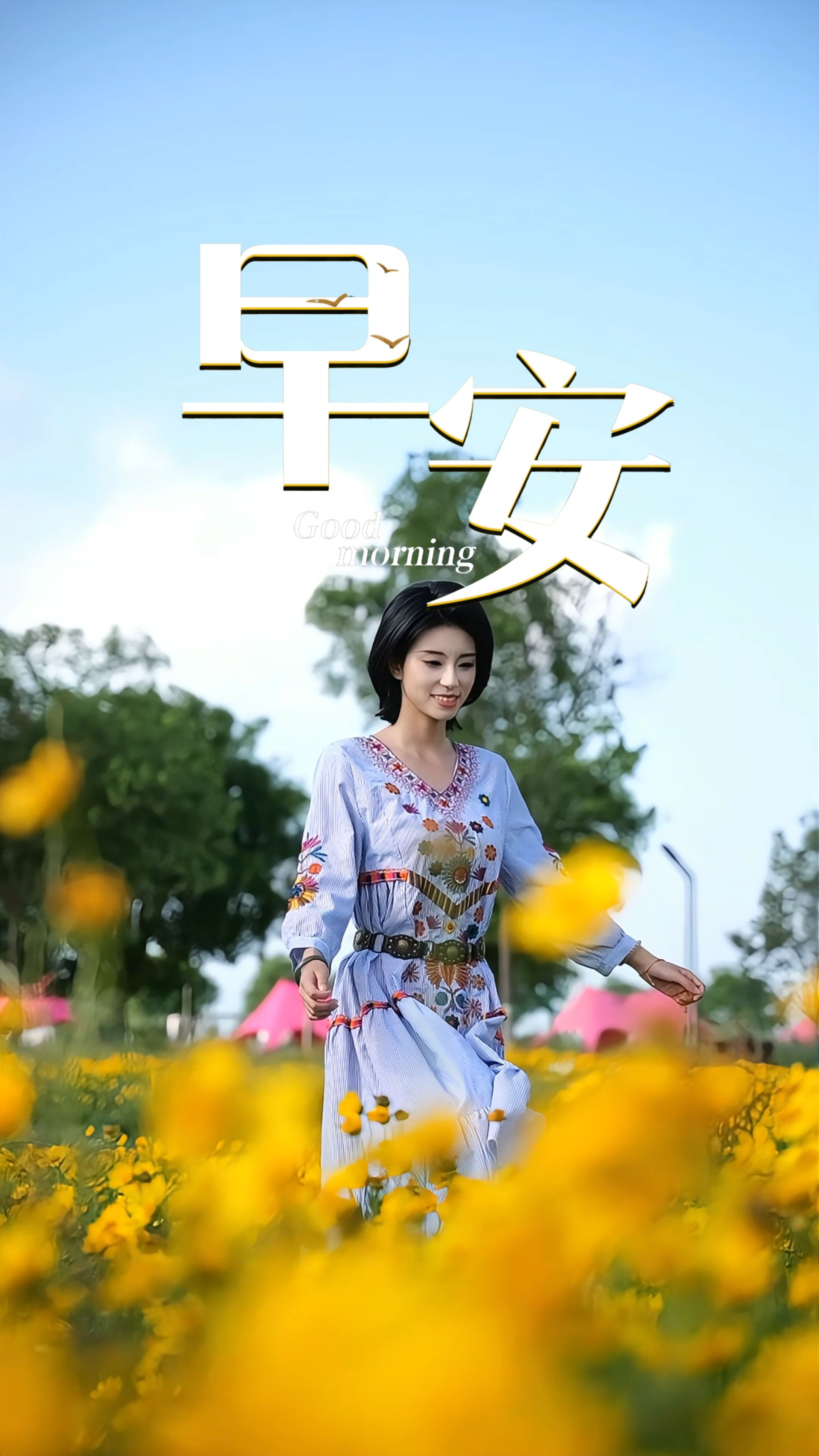 2026年6月12日，早安！日子贵在从容有度，不焦虑过往，不焦灼前路。守好内心的平和与笃定，步履轻盈、向阳出发，自会有清风与温柔相伴。