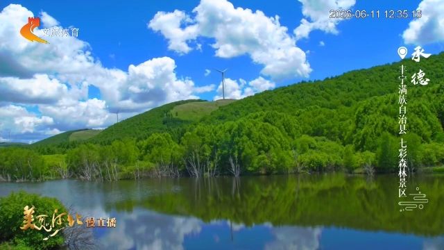 美丽河北慢直播丨2026.06.11 正午