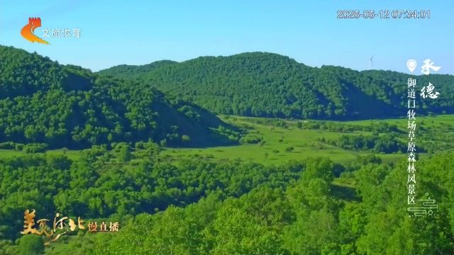 美丽河北慢直播丨2026.06.12 清晨