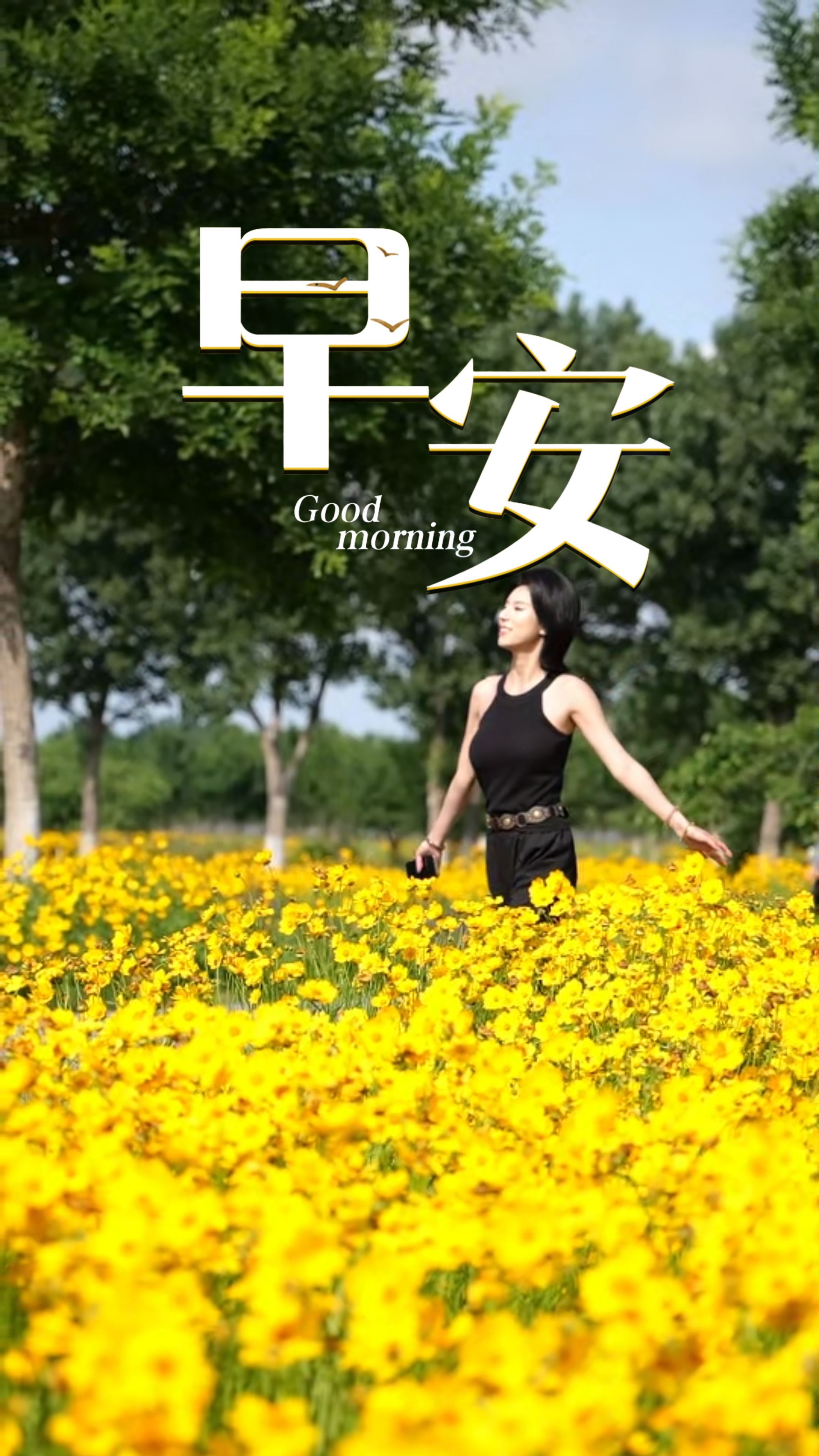 2026年6月16日，早安！清风伴着晨光缓缓而至，不必急于追赶节奏，稳住步调慢慢蓄力。于平淡日常中守好本心，认真奔赴每一寸美好时光！