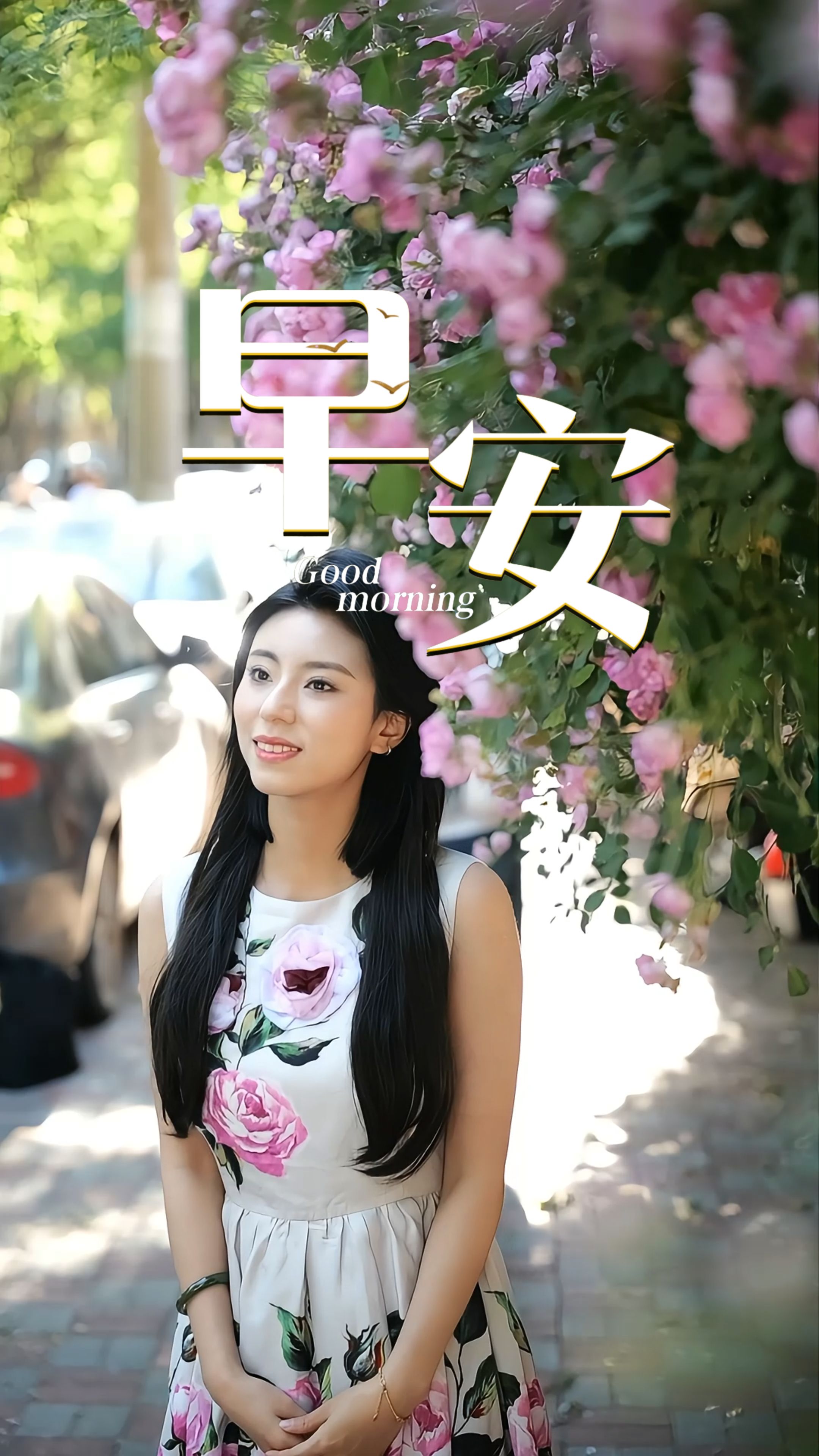 2026年6月15日，早安！晨光唤醒日常，新的一周如约启程。放下过往细碎心绪，带着平和与热忱整装出发。步履沉稳、向阳而行，在日复一日的坚持里，收获属于自己的光亮与惊喜！