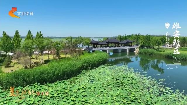 美丽河北慢直播丨2026.06.15 正午