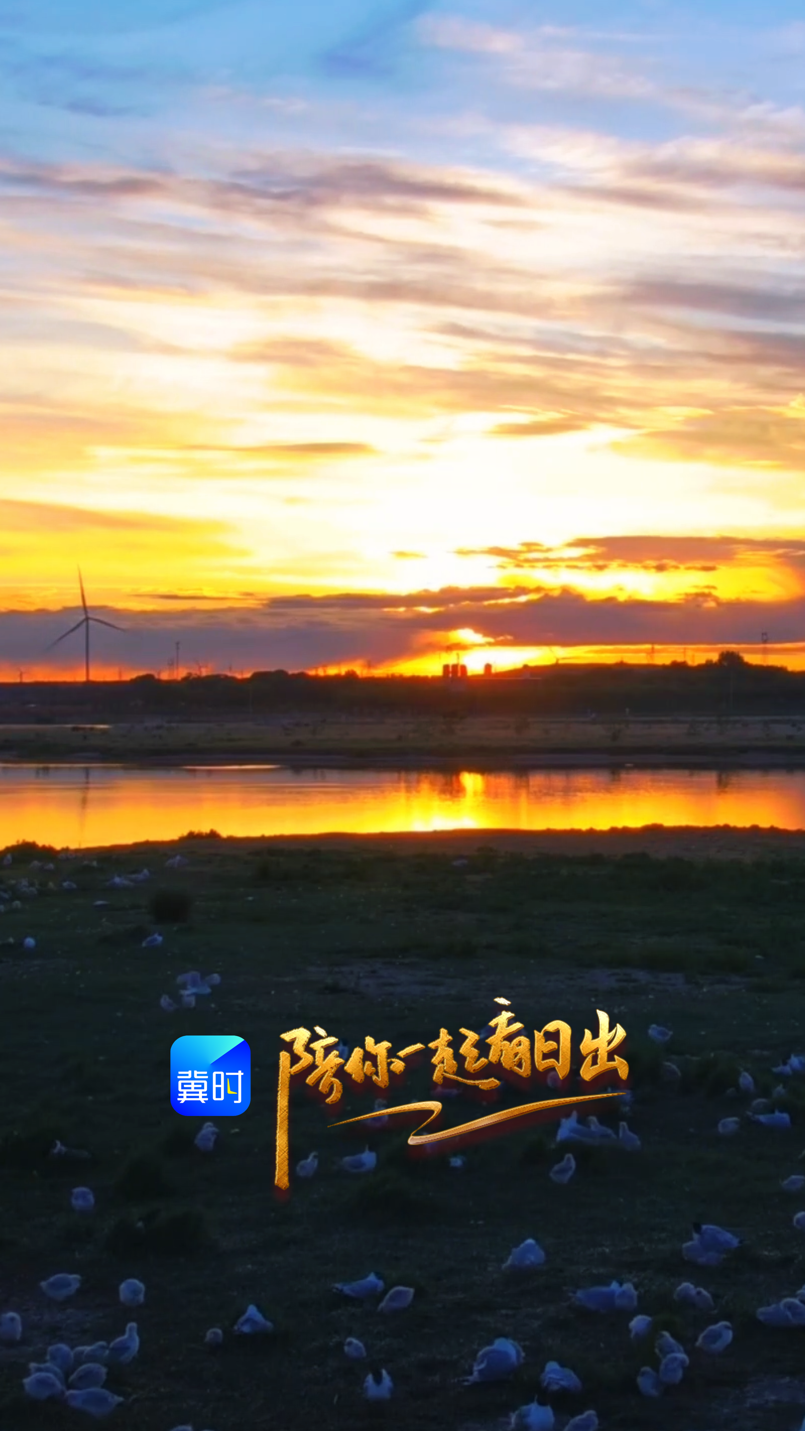 陪你一起看日出丨张家口 康巴诺尔湿地 2026.06.18