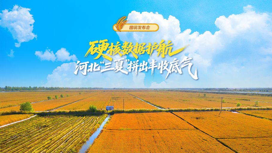 图说发布会丨硬核数据护航！河北“三夏”拼出丰收底气~