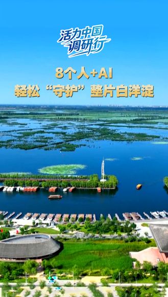活力中国调研行 | 8个人＋AI 轻松“守护”整片白洋淀