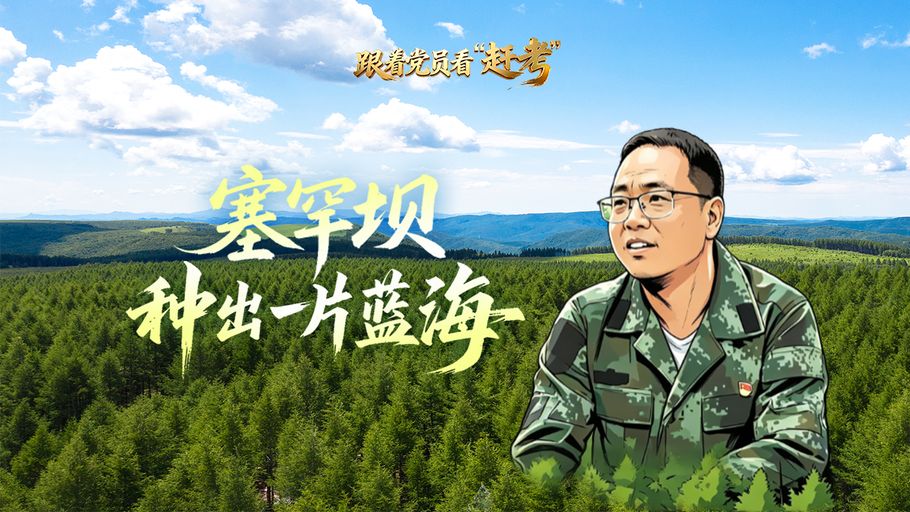 跟着党员看“赶考”丨塞罕坝，种出一片蓝海