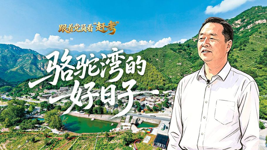 跟着党员看“赶考”丨骆驼湾的好日子