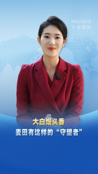 冀时新闻主播说 | 大白馒头香 麦田有这样的“守望者”