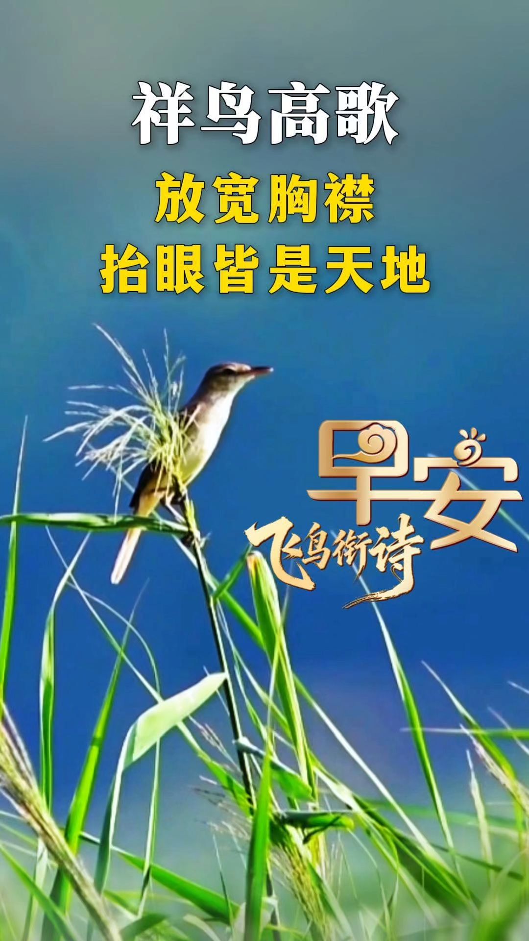 早安丨放宽胸襟，抬眼皆是天地