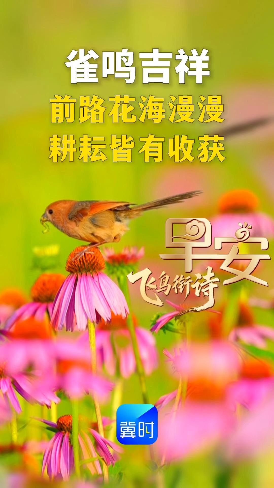 早安丨愿前路花海漫漫，耕耘皆有收获