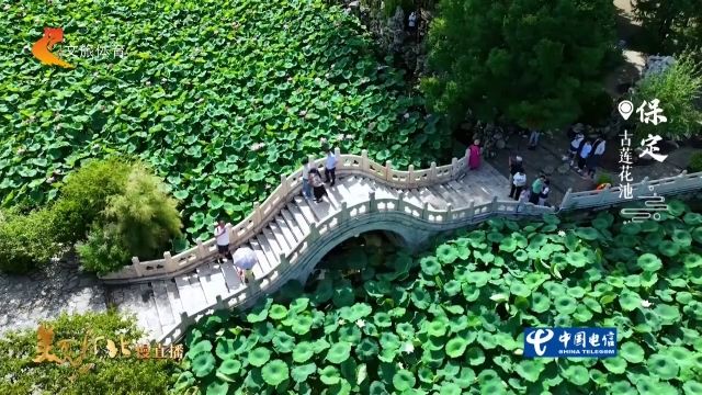 美丽河北慢直播丨2026.07.10 正午
