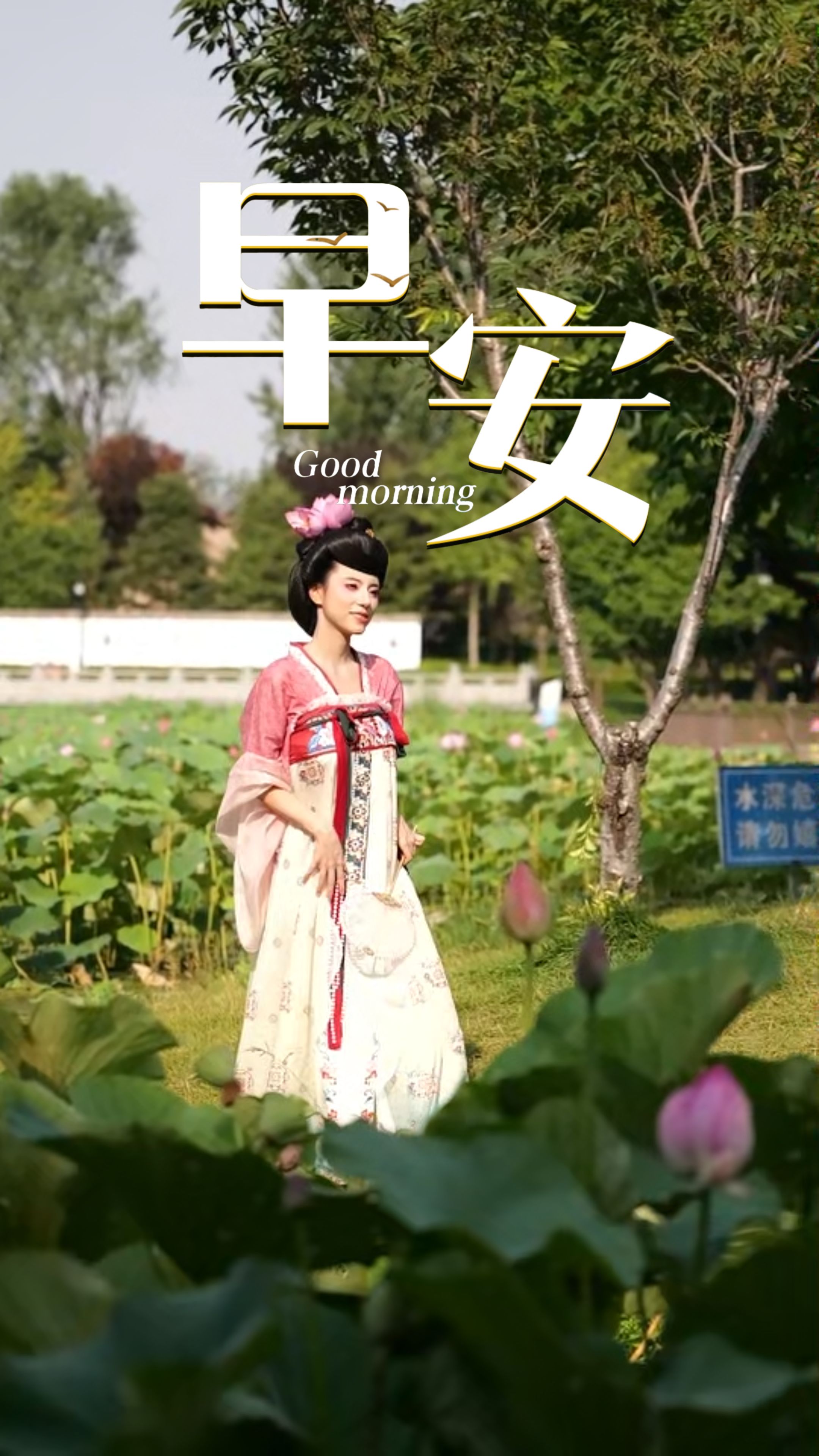 2026年7月15日，早安！盛夏蝉鸣阵阵，晨风吹散燥热。愿你抛开生活繁杂，守住内心清凉，不急不躁，稳步前行！