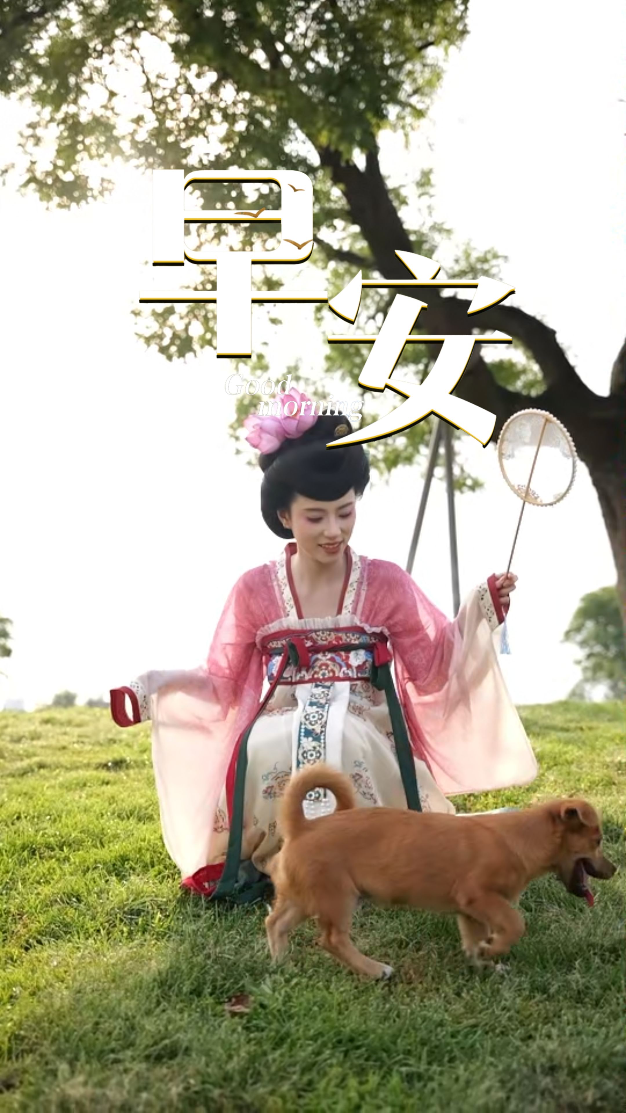 2026年7月14日，早安！夏风送清宁，晨光启新程。心有清凉，不惧盛夏燥热；心怀热爱，不负每寸时光。愿今日自在从容，万事皆安！