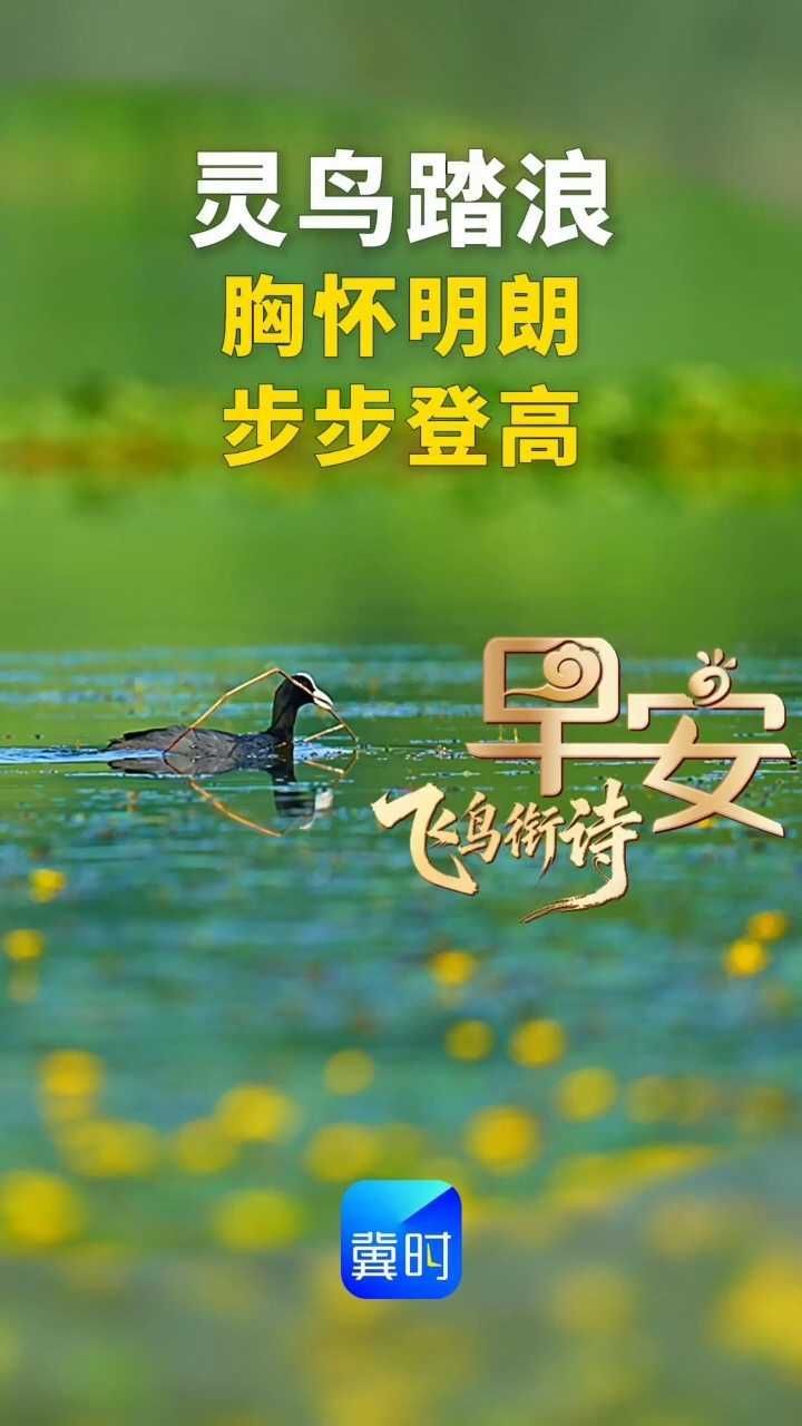 早安丨愿你胸怀明朗 步步登高