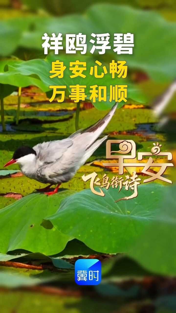 早安丨身安心畅，万事和顺
