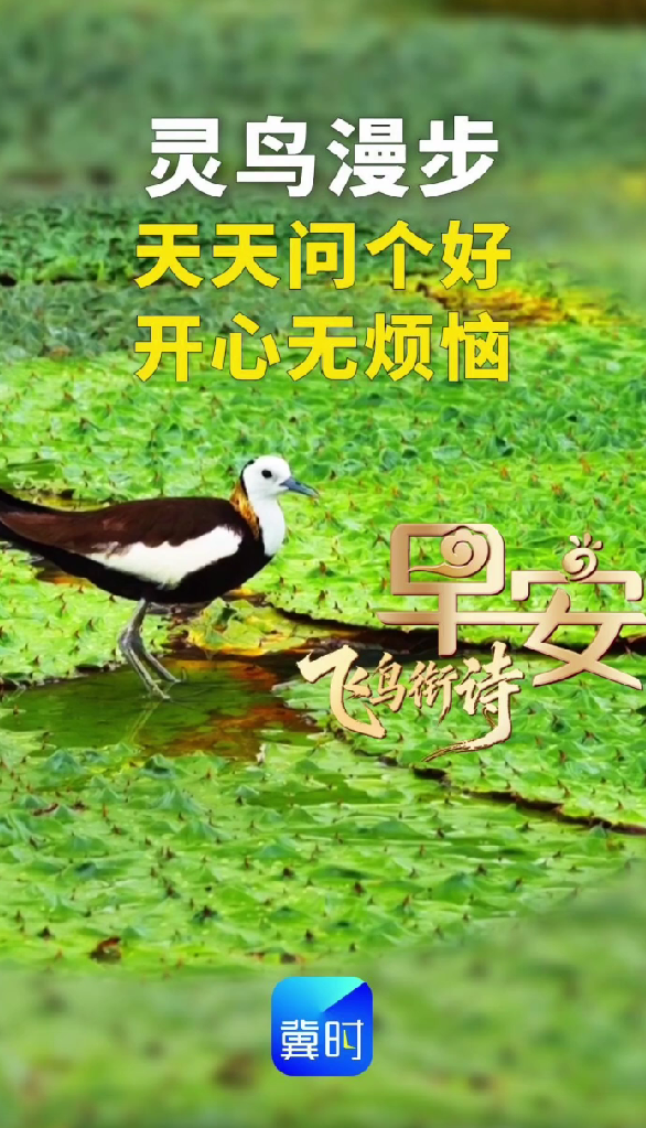 早安丨天天问个好，开心无烦恼