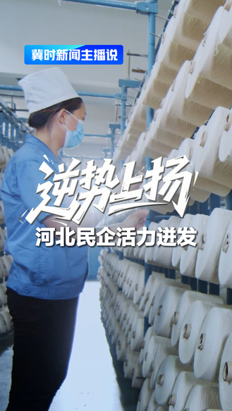 逆势上扬 河北民企活力迸发丨冀时新闻主播说