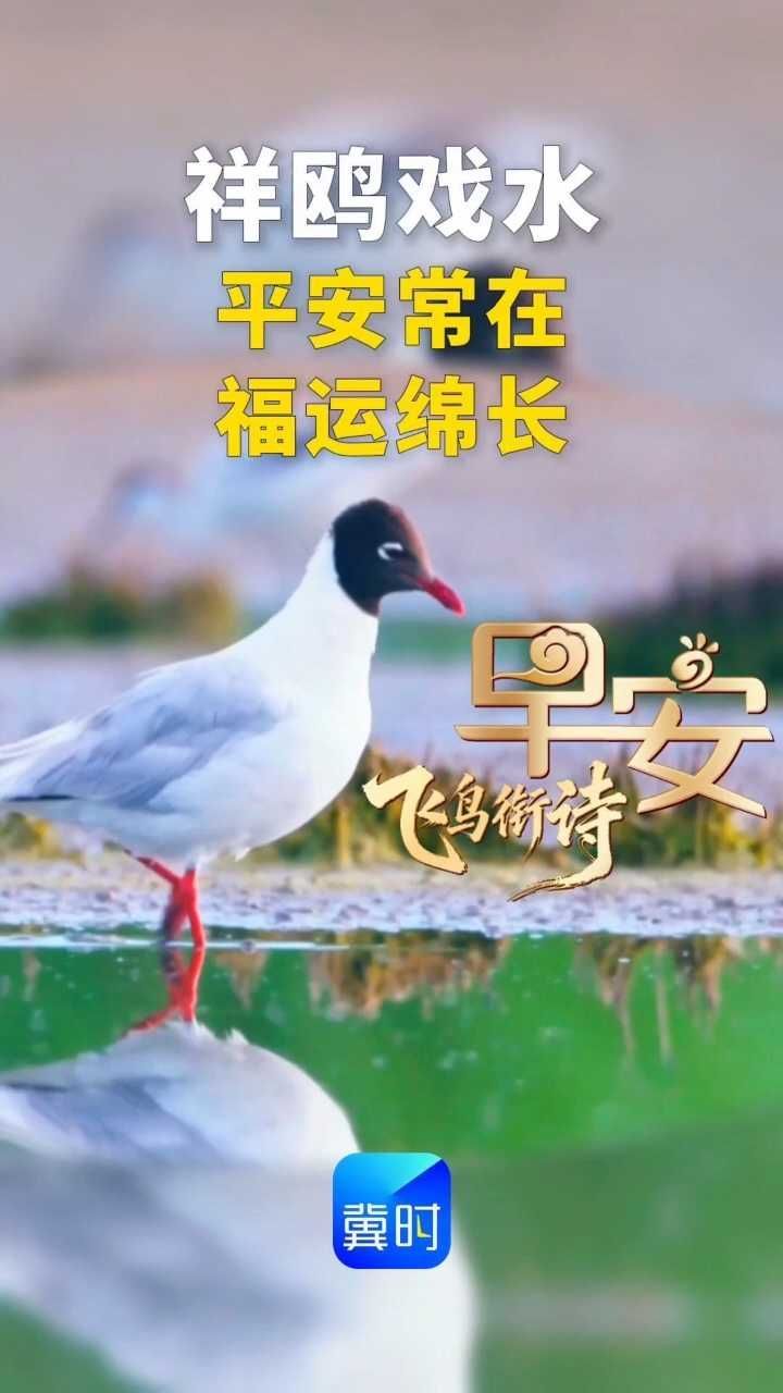 早安丨平安常在，福运绵长