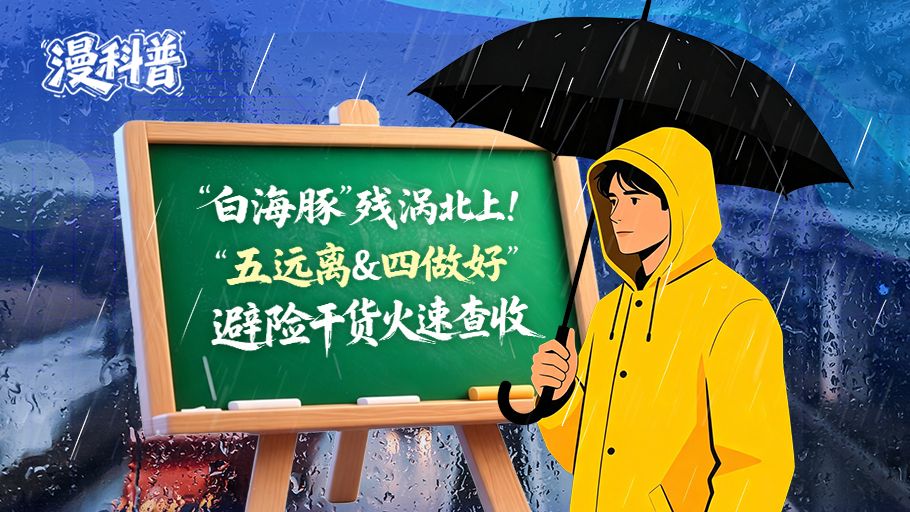 漫科普丨“白海豚”残涡北上！“五远离&四做好”避险干货火速查收
