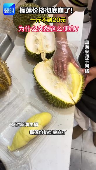榴莲价格彻底崩了！ 一斤不到20元 为什么突然这么便宜？