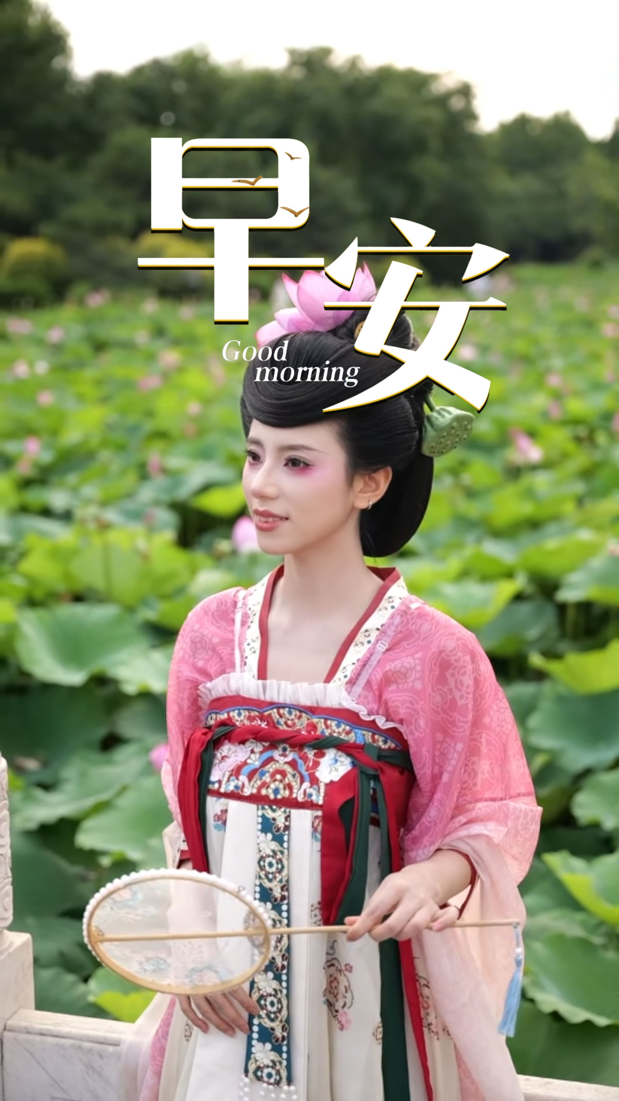 2026年8月20日，早安！周四，保持平和，专注当下，愿你内心始终从容，事事有条不紊！