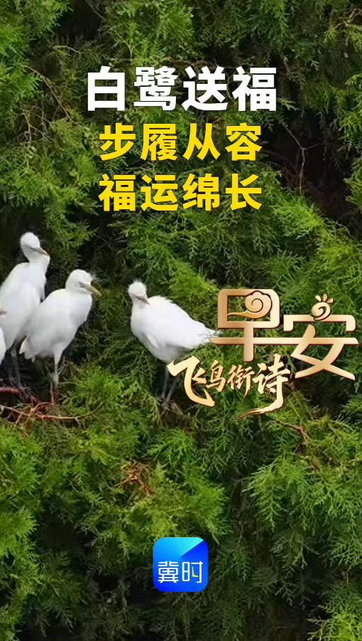 早安丨步履从容 福运绵长