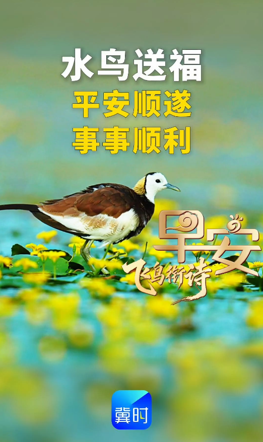 早安丨平安顺遂 事事顺利
