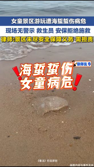 女童景区游玩遭海蜇蜇伤病危 现场无警示 救生员 安保拒绝施救 律师：景区未尽安全保障义务 需担责 | 律师说