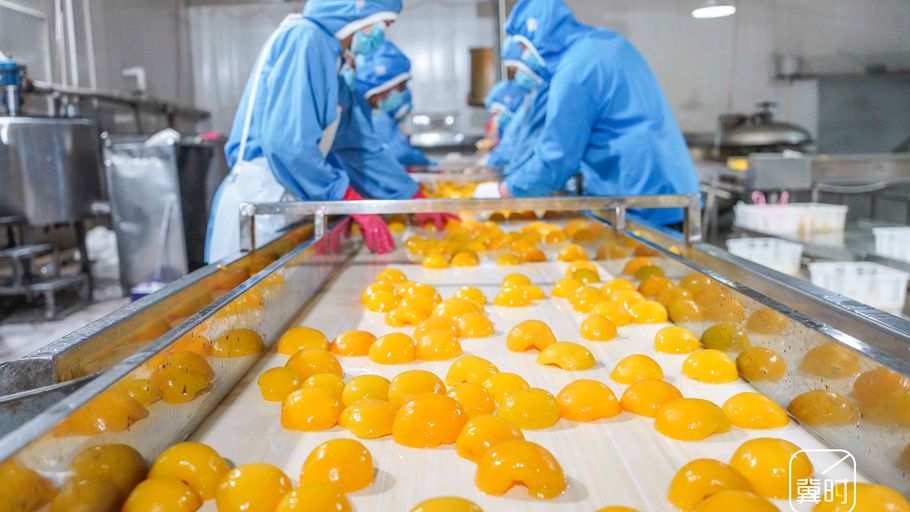 唐山遵化：果品深加工为果农分忧