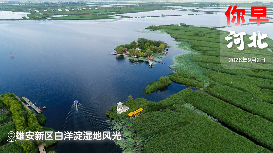 你早，河北｜雄安“独角兽”登陆港股；河北首例脑机接口手术完成；赶紧买手机还是再等等？白宫迎来“离职潮”