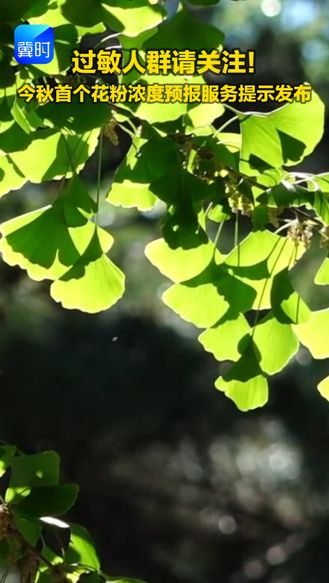 过敏人群请关注！今秋首个花粉浓度预报服务提示发布