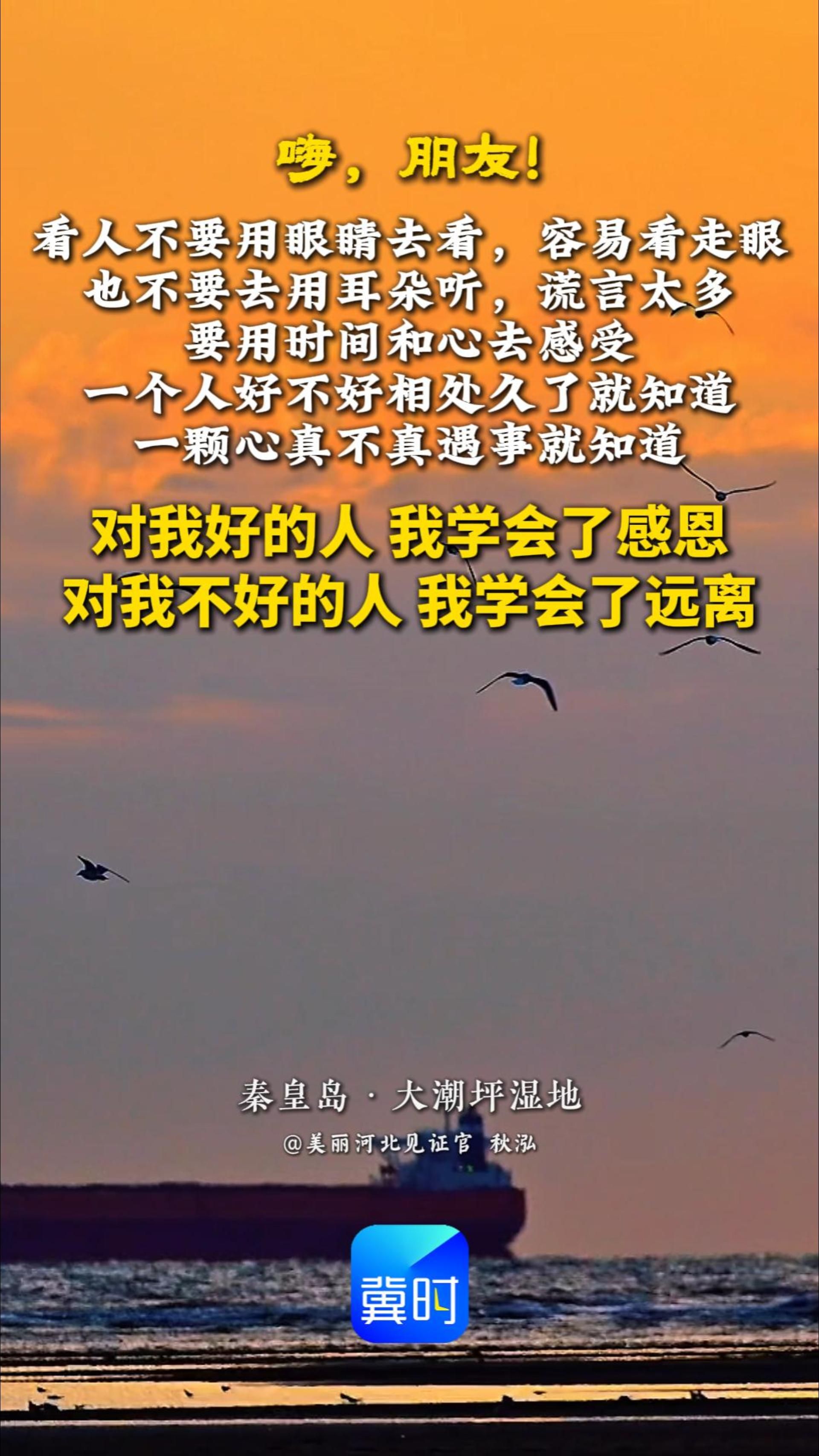 对我好的人，我学会了感恩；对我不好的人，我学会了远离。看人不要用眼睛去看，容易看走眼；也不要用耳朵去听，谎言太多了。要用时间和心去感受，一个人好不好，相处久了就知道；一颗心真不真，遇事就知道。#晚安#秦皇岛大潮坪湿地