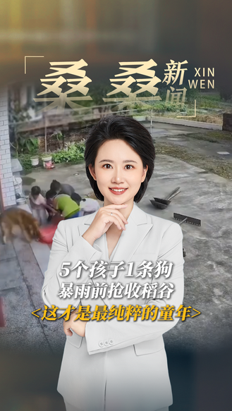 5个孩子1条狗 暴雨前抢收稻谷