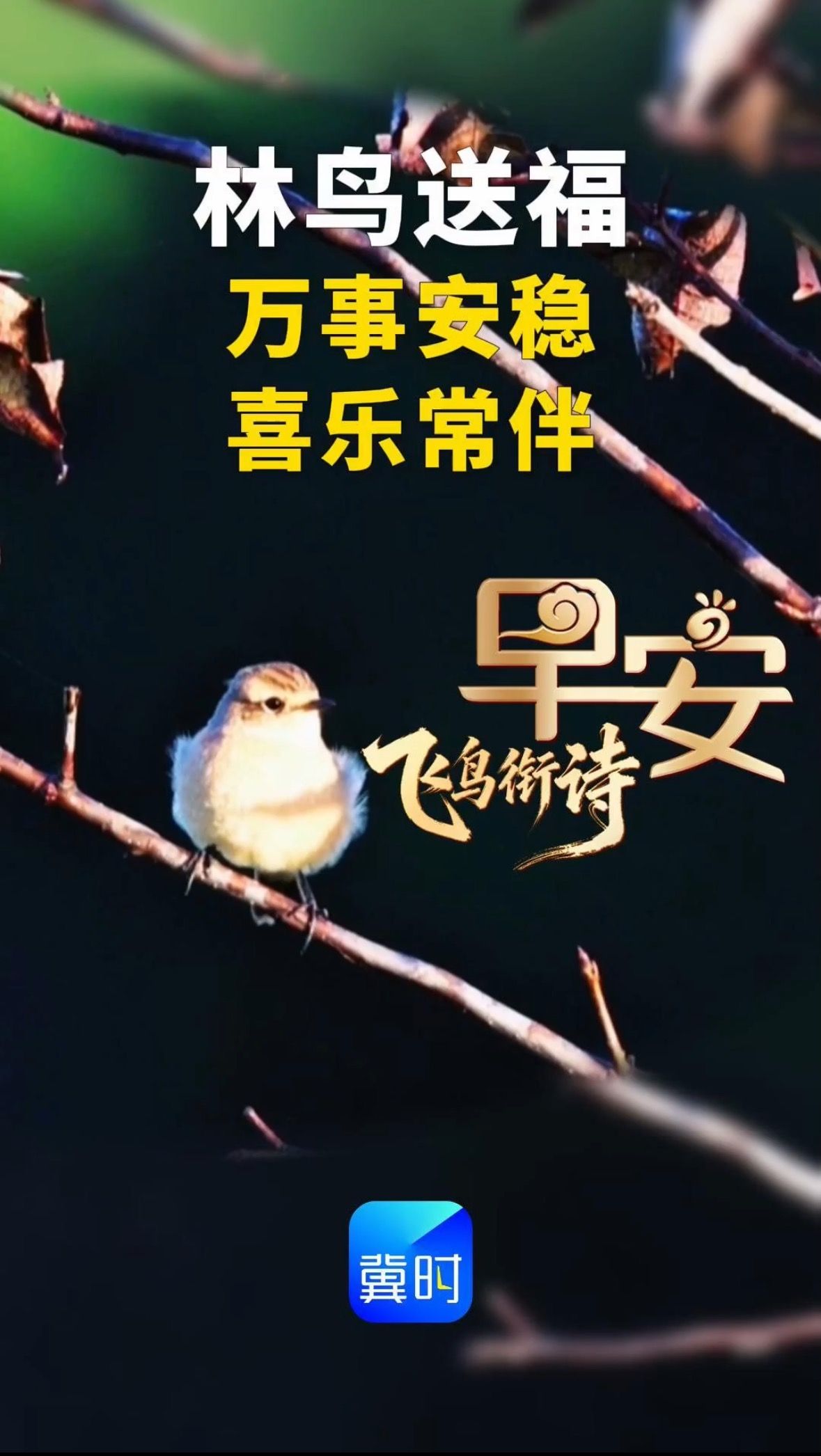 早安丨万事安稳 喜乐常伴