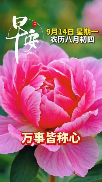 9月14日，四季纳福安，愿你前路皆光亮，万事皆称心！早安#早安