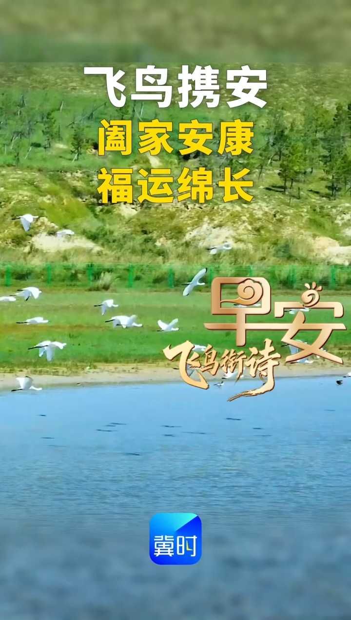 早安丨飞鸟携安，阖家安康，福运绵长