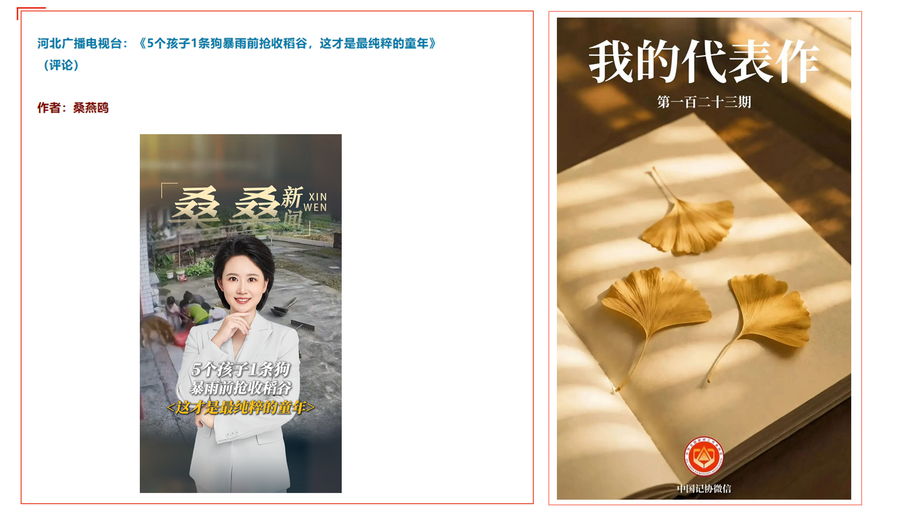 五个孩子一条狗，暴雨前抢收粮食看哭全网——桑桑这条作品入选中国记协“我的代表作”