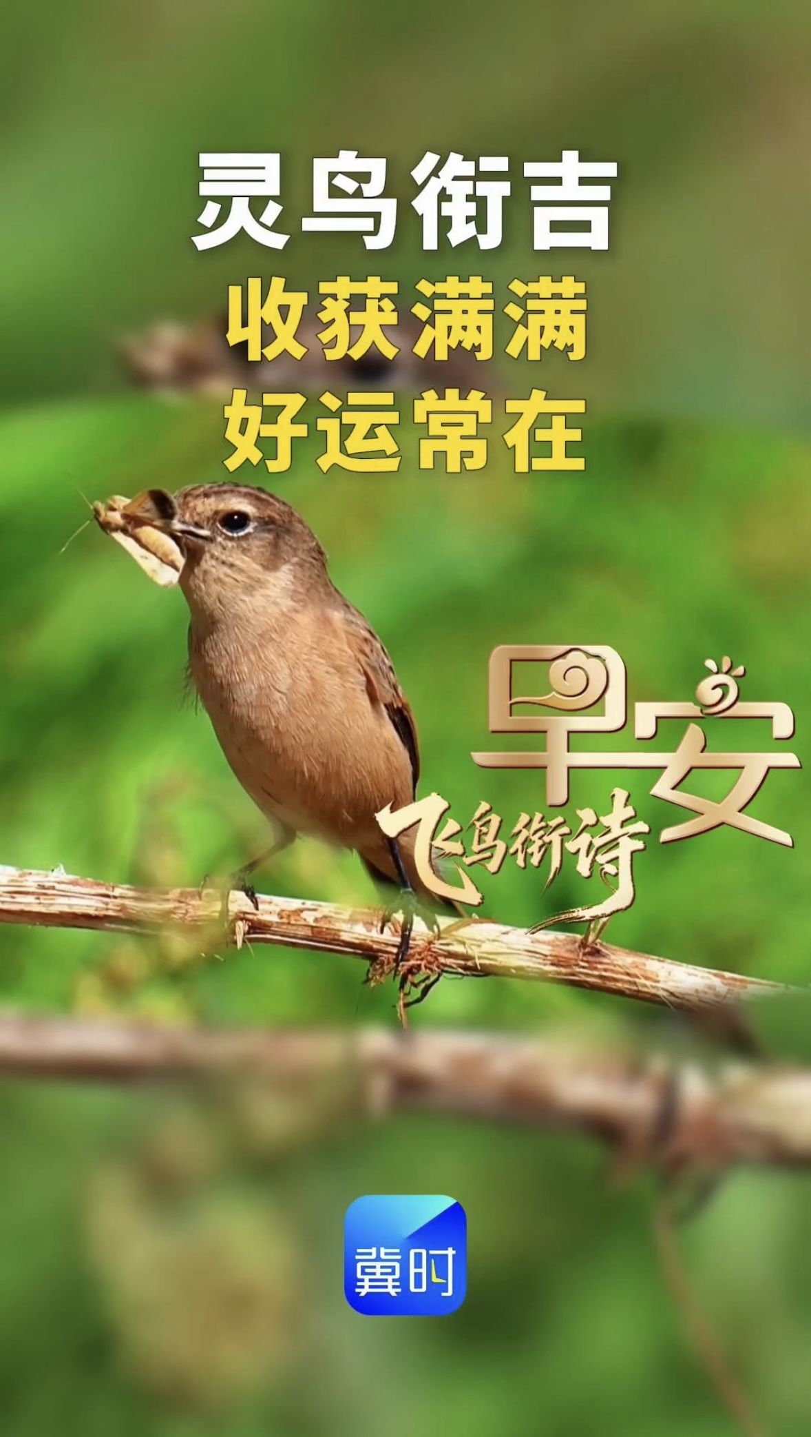 早安丨收获满满 好运常在