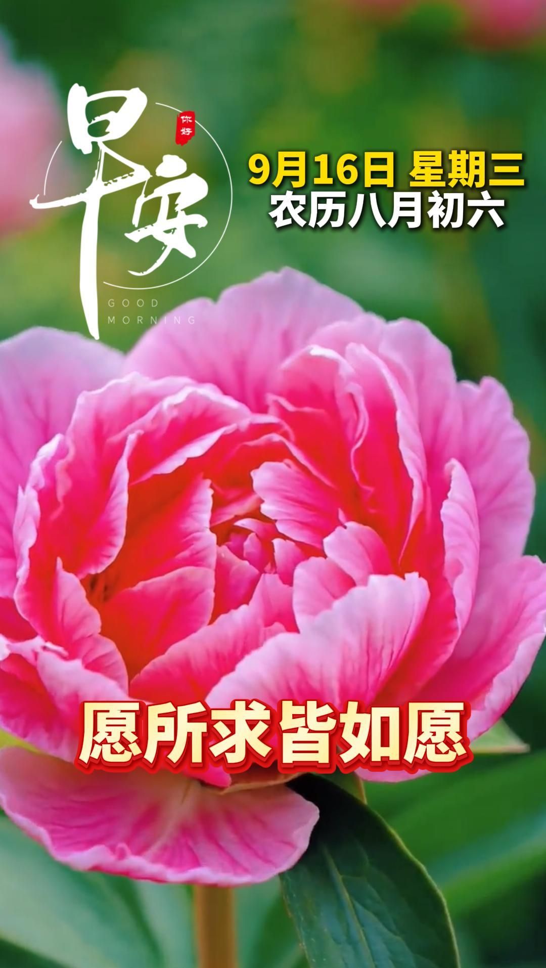 9月16日，福启今朝顺，愿所求皆如愿，六六大顺！早安