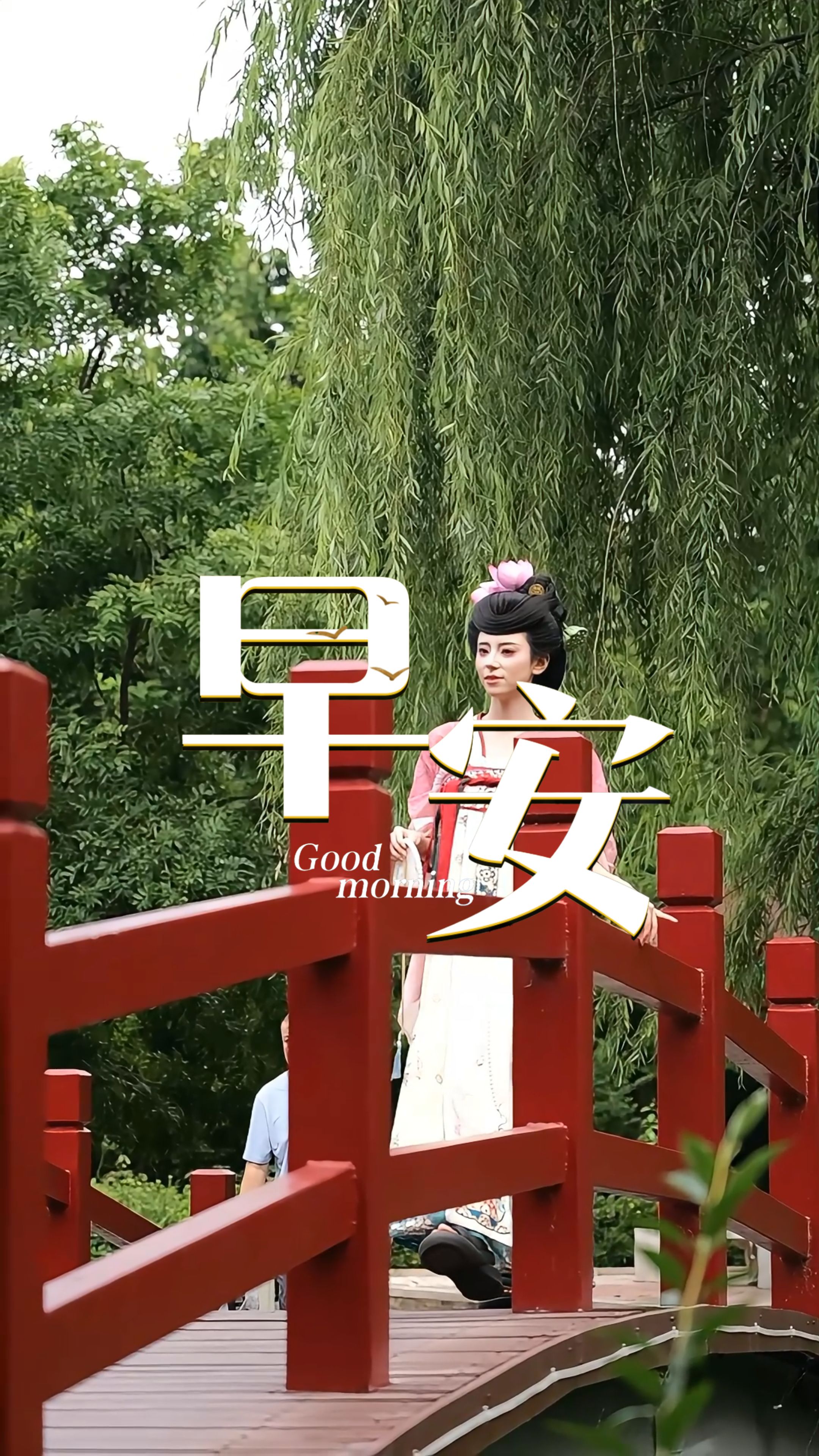 2026年9月17日，早安！生活没有标准答案，按自己的步调，踏实过日子就很好，愿你今日平安舒心，有所收获！