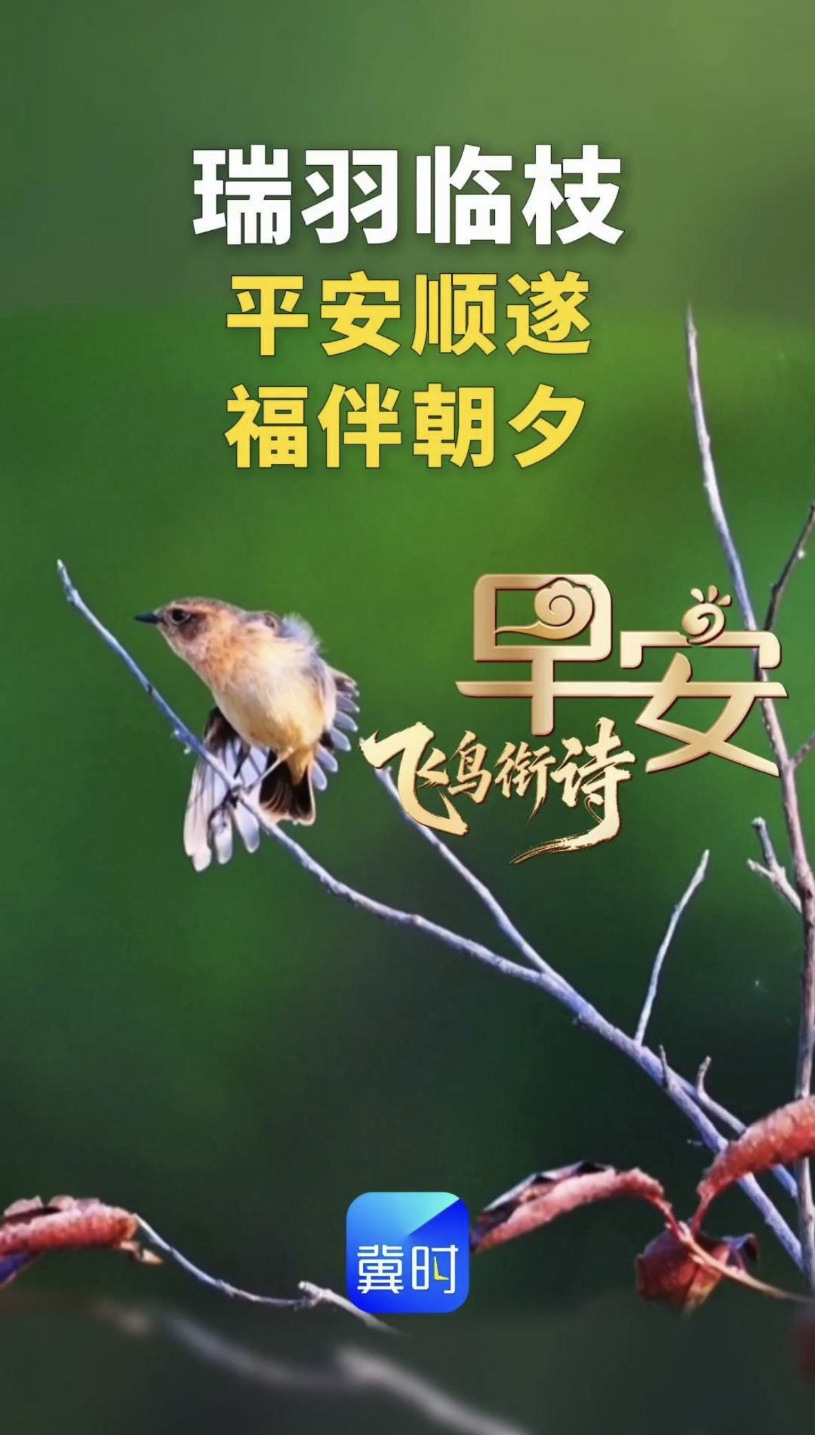 早安丨平安顺遂 福伴朝夕
